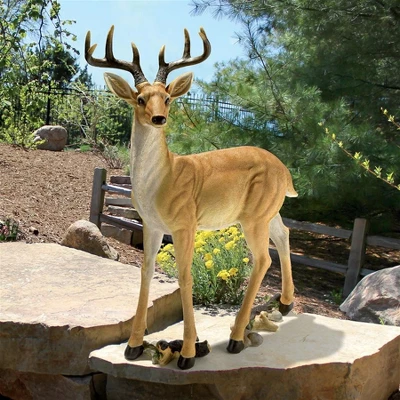 Design Toscano Woodland Buck Deer Statue 3 Design Toscano Woodland Buck Deer Statue