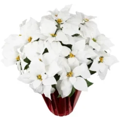 Northlight 26" White Artificial Christmas Poinsettia In Red Wrapped Base 9 Northlight 26" White Artificial Christmas Poinsettia In Red Wrapped Base -Home Furnishings Store GUEST 4e9b6292 e847 469a b800 e0c59e7063d2