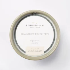 20oz Ceramic Blackberry Eucalyptus Candle Green - Threshold™ Designed With Studio McGee -Home Furnishings Store GUEST 870ce181 98d9 4be6 a455 6aadadca64e1