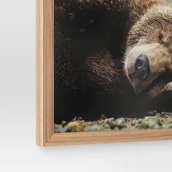 20" X 16" Bear Photography Framed Art Brown - Threshold™ -Home Furnishings Store GUEST 8d29808a 8d0a 4121 a8c8 64d15cc45658