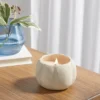 12oz Brushed Abstract Pumpkin Ceramic With Woodwick And Dustcover Warm Cider + Cinnamon Candle - Threshold™ 1 12oz Brushed Abstract Pumpkin Ceramic With Woodwick And Dustcover Warm Cider + Cinnamon Candle - Threshold™ -Home Furnishings Store GUEST a500439a 2905 497b 90d6 450705c0a5a5