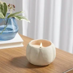 12oz Brushed Abstract Pumpkin Ceramic With Woodwick And Dustcover Warm Cider + Cinnamon Candle - Threshold™