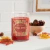 21.5oz Lidded Glass Jar 2-Wick Fall Day Candle - Opalhouse™ -Home Furnishings Store GUEST b871d0a3 4ceb 4012 b682 623b0309090e