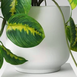 Trailing Prayer Artificial Plant - Room Essentials™ 7 Trailing Prayer Artificial Plant - Room Essentials™ -Home Furnishings Store GUEST d8ed9869 ac8b 4597 9abc cafd2f3469ed
