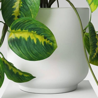 Trailing Prayer Artificial Plant - Room Essentials™ 5 Trailing Prayer Artificial Plant - Room Essentials™ - Image 3
