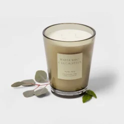 Colored Vase Glass With Dustcover Watermint And Eucalyptus Candle Green - Threshold™ 10 Colored Vase Glass With Dustcover Watermint And Eucalyptus Candle Green - Threshold™ -Home Furnishings Store GUEST e5144fde ec25 4103 bb0f 2b77c5bb8627